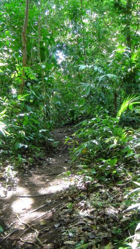 Bed & Breakfast Ka'kau Jungle Cabinas