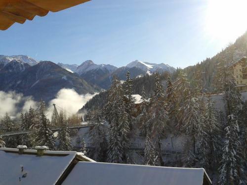 Apartamento Pension Alpenrose