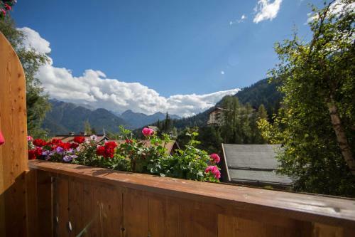 Apartamento Pension Alpenrose