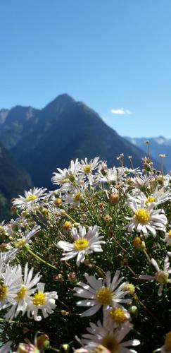 Hostal Landhaus Zum Griena