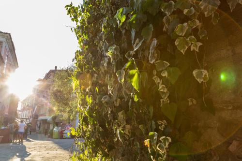 Apartamento Acciaroli Vacanze Residence