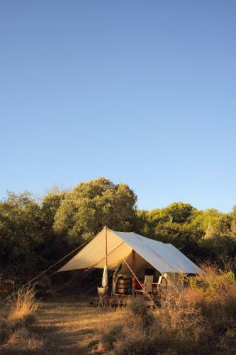 Quatermain's 1920's Safari Camp