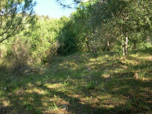 Apartamento Casale Torone