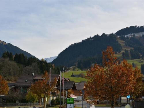 Apartamento Schmiede-st�ckli