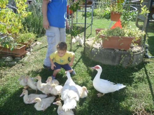 La Capanna Dei Carri