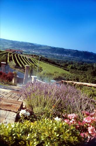 Agroturismo Villa Bricco Dei Cogni