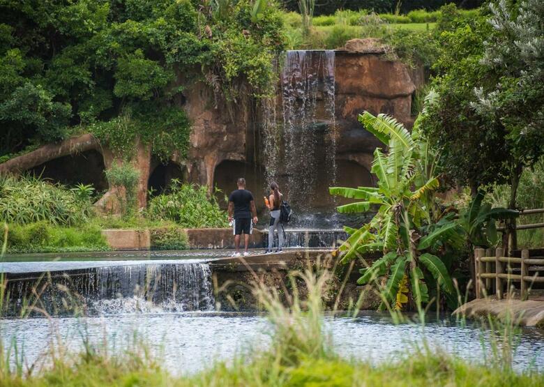 Hotel Fairmont Zimbali Lodge