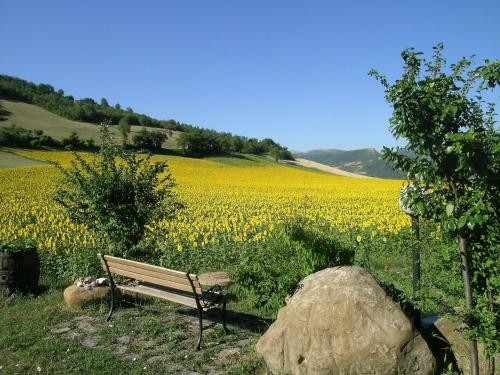 Agroturismo Residence I Girasoli