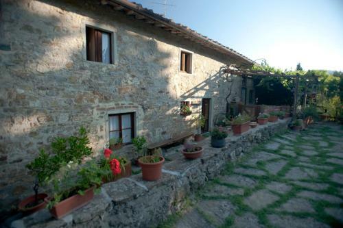 Agroturismo Agriturismo La Pieve