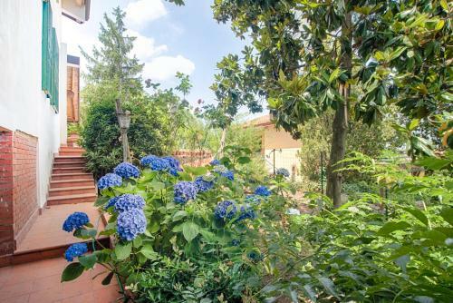 Casa Cl�