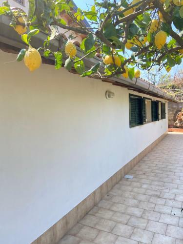 Casa Cl�