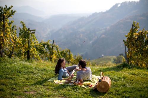 Agroturismo Weingut Schauer