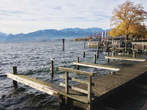 Apartamento See 31, Ferienlofts Am Traunsee
