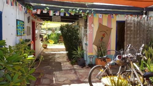 Albergue Alice's Secret Travellers Inn