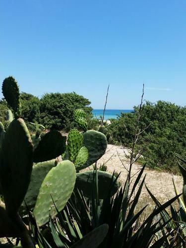 B&B Santachiara