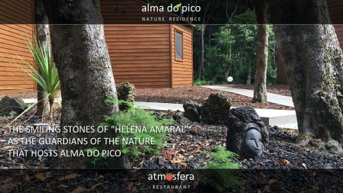 Apartamento Alma Do Pico