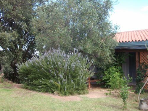 Agroturismo L'ulivo