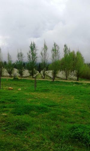 Hostal Themika Guest Farm