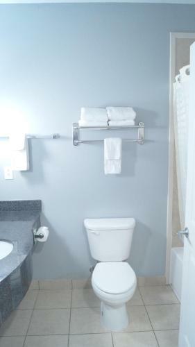 Hotel Magnolia Inn And Suites Olive Branch