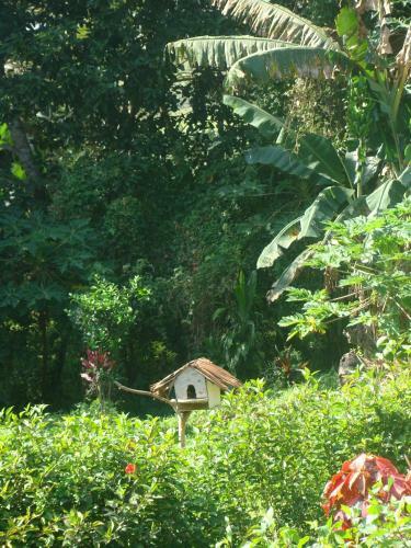Les Cottages De Bellevue Ecolodge