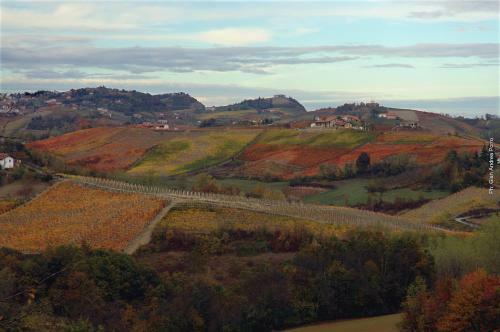 Bed & Breakfast Casapecchenino