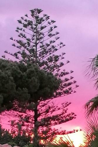 Apartamento L'araucaria