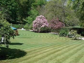 Foxghyll Country House B&B