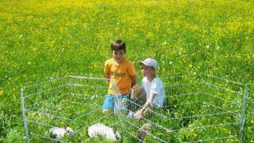 Hostal Jugendg�stehaus Gosauschmied
