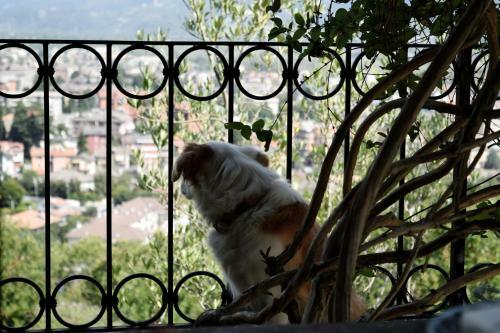 B&B Villa Moro