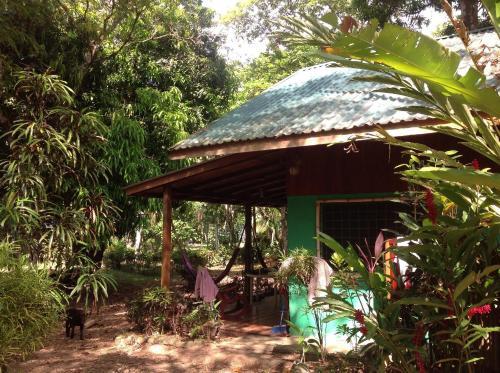 Beach Hut Las Lapas
