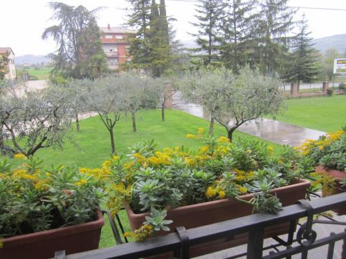 Bed & Breakfast La Strada Di Francesco D'assisi