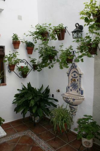 Agroturismo Casa Rural Zambra
