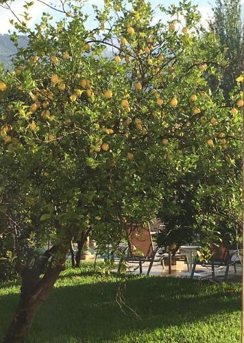 Agroturismo Finca Cas Sant