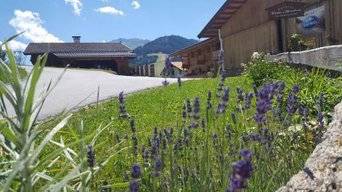 Hostal Pension Biobauernhof Hinteraltensberg