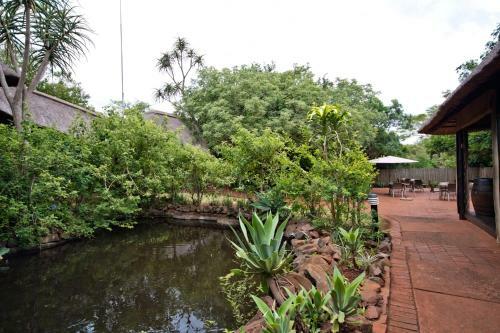 Hostal Zululand Tree Lodge