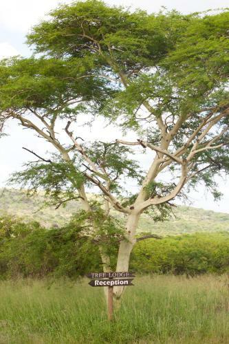 Hostal Zululand Tree Lodge