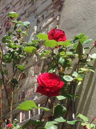 Bed & Breakfast Le Mascaret