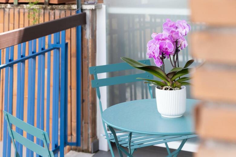 Hostal Zaccardi