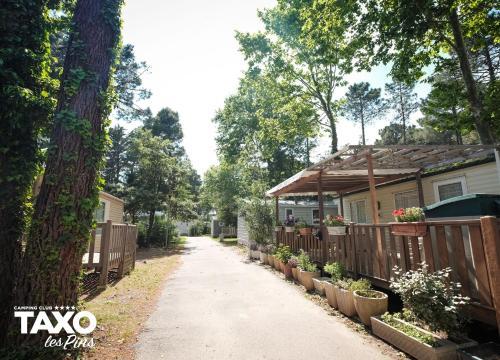 Camping Taxo Les Pins