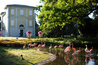 Hotel Relais Villa Abbondanzi