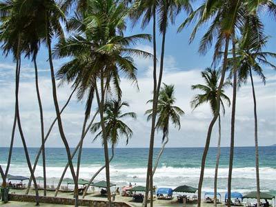 Palm Beach Caribbean Hotel