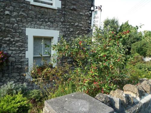 The Owls Crest House B&B