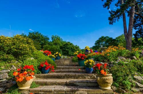 Bed & Breakfast Moorlands Country Guest House