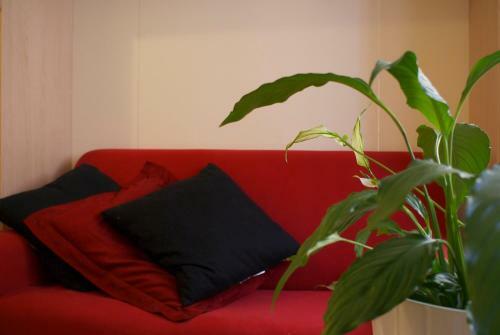 Olly Apartments