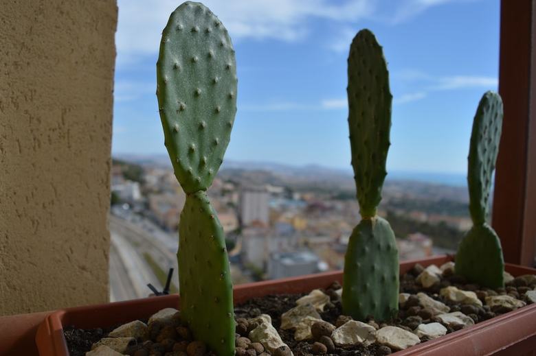 Apartamento B&B Miravalle Agrigento