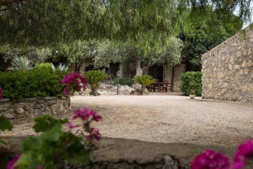 Bed & Breakfast Roba Degli Ulivi