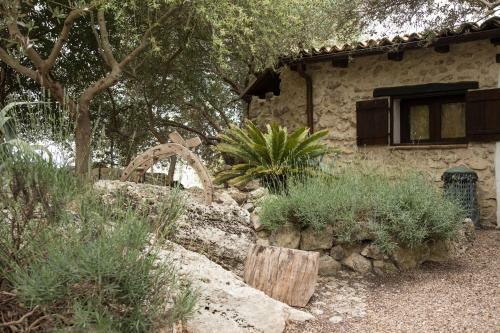 Bed & Breakfast Roba Degli Ulivi