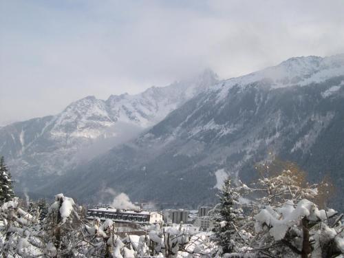Apartamento Studio Les Drus/studio Du Brevent
