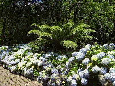 Hotel Cabana Da Mata