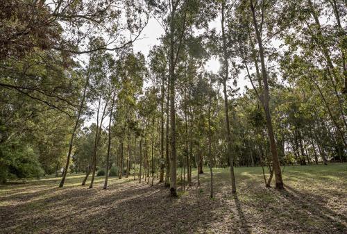 Lodge Caba�as Las Pl�yades